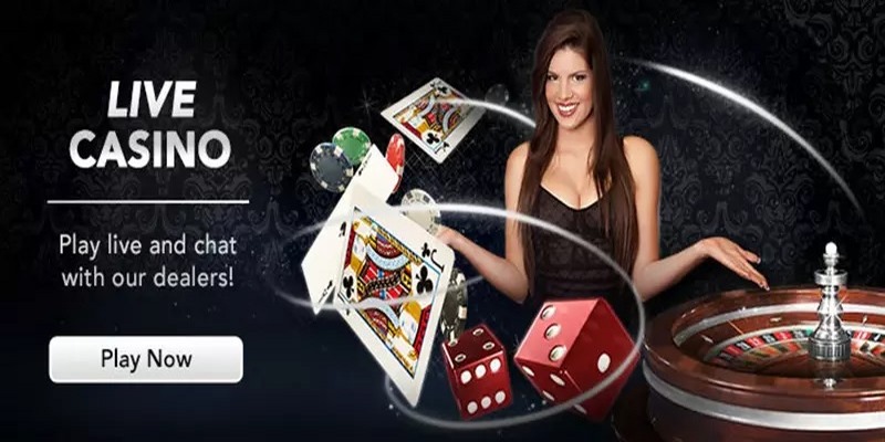 Trải nghiệm sòng bạc trực tuyến tại 8xbet ltd