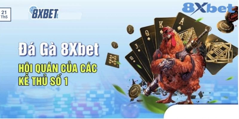 Những sản phẩm hấp dẫn tại 8xbet