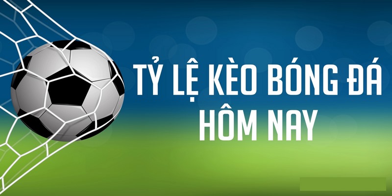 8xbet_Tỷ Lệ Kèo Bóng Đá Hôm Nay Ảnh Hưởng Bởi Yếu Tố Nào?