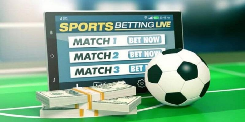 8xbet | Cách Xem Tỷ Lệ Kèo Nhà Cái Trực Tuyến Chuẩn Nhất