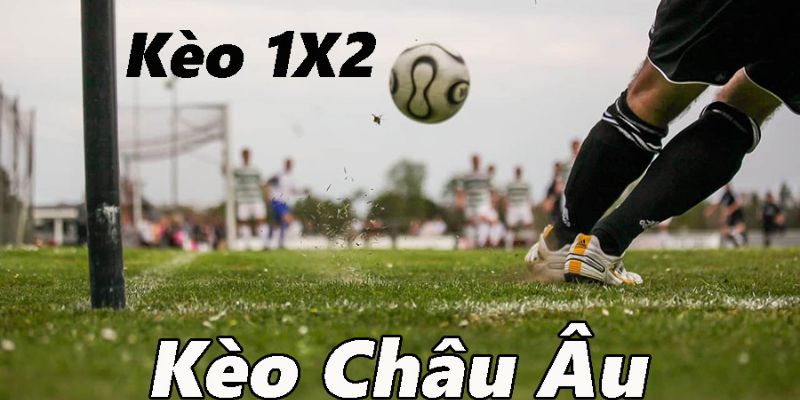 Lý do bạn nên đặt cược theo tỷ lệ kèo anh